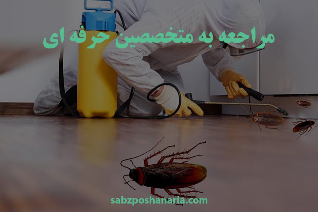 مراجعه به متخصصین حرفه ای