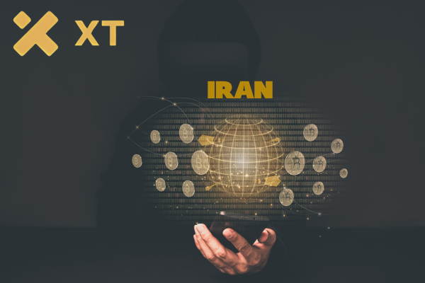 فرصت های درآمد دلاری در صرافی ایکس تی